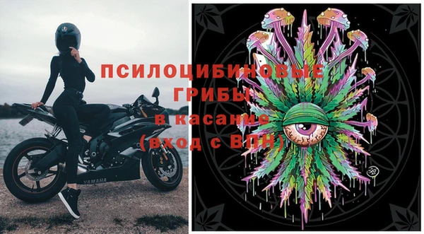 эйфоретик Баксан