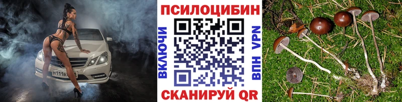 ссылка на мегу рабочий сайт  Заречный  Псилоцибиновые грибы Cubensis 