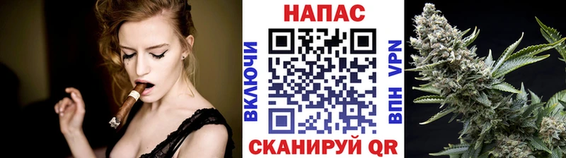 Бошки Шишки сатива  hydra онион  Заречный  как найти закладки 